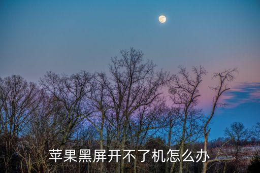 蘋果黑屏開不了機怎么辦