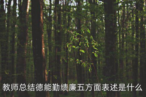教師總結德能勤績廉五方面表述是什么