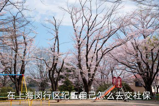 在上海閔行區紀王自己怎么去交社保
