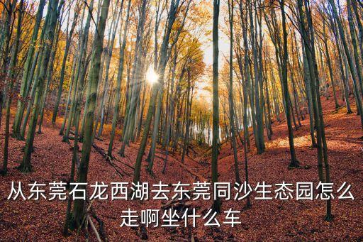 從東莞石龍西湖去東莞同沙生態(tài)園怎么走啊坐什么車