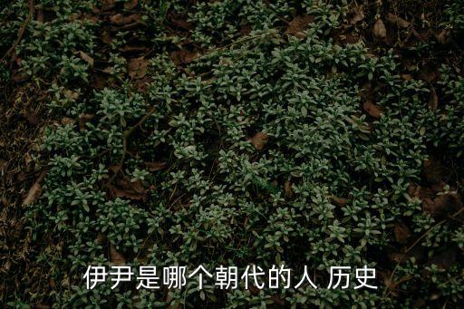伊尹，伊尹是哪位人物
