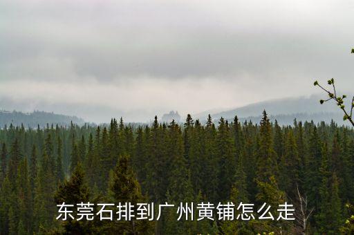 東莞石排到廣州黃鋪怎么走