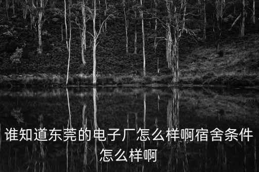 東莞明信電子廠怎么樣，誰知道東莞的電子廠怎么樣啊宿舍條件怎么樣啊