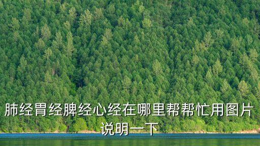 肺經胃經脾經心經在哪里幫幫忙用圖片說明一下