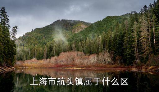 上海市航頭鎮屬于什么區