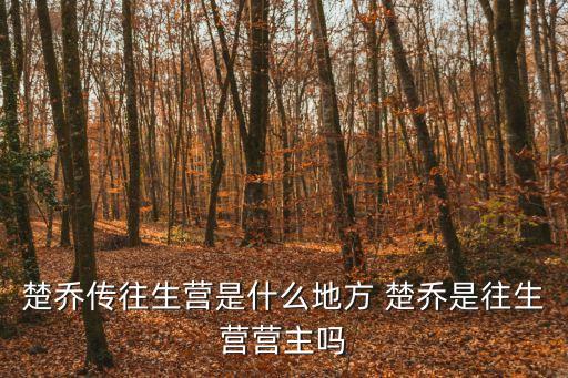 楚喬傳往生營是什么地方 楚喬是往生營營主嗎