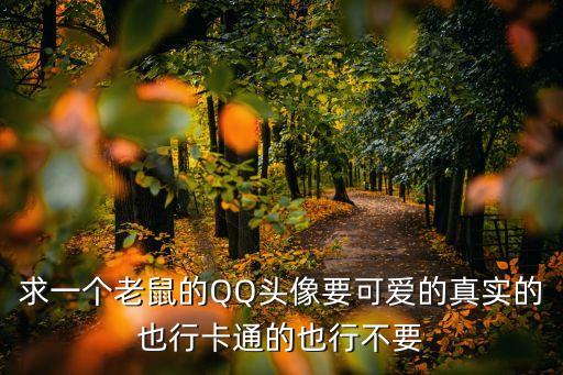 求一個老鼠的QQ頭像要可愛的真實的也行卡通的也行不要