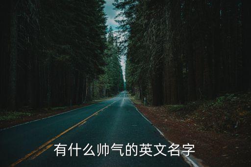 帥氣的英文id，100分懸賞誰能給我起一個帥氣個性的英文id