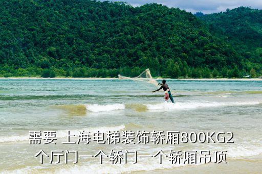 需要 上海電梯裝飾轎廂800KG2個廳門一個轎門一個轎廂吊頂
