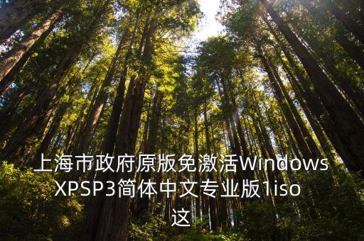 上海市政府玉英，上海市市長秘書是誰