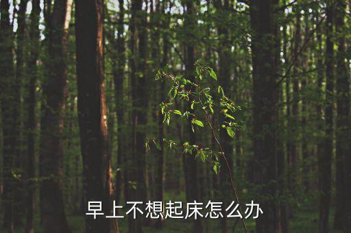 早上不想起床怎么辦