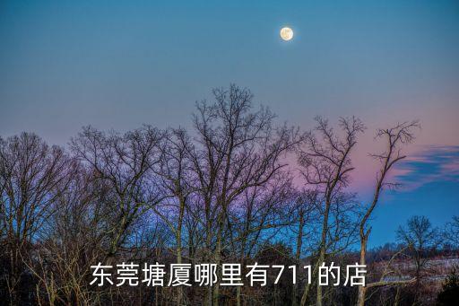 東莞塘廈哪里有711的店