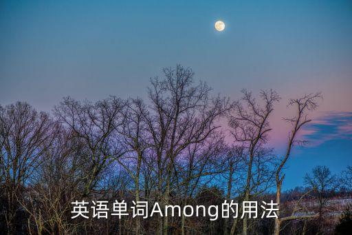 英語單詞Among的用法