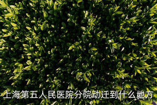 上海第五人民醫院分院動遷到什么地方