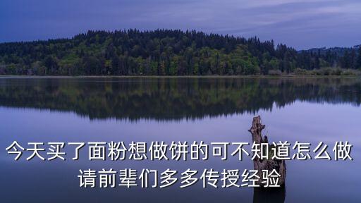今天買(mǎi)了面粉想做餅的可不知道怎么做請(qǐng)前輩們多多傳授經(jīng)驗(yàn)