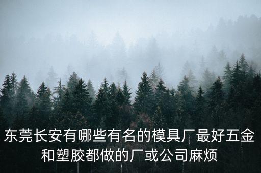 東莞長安有哪些有名的模具廠最好五金和塑膠都做的廠或公司麻煩