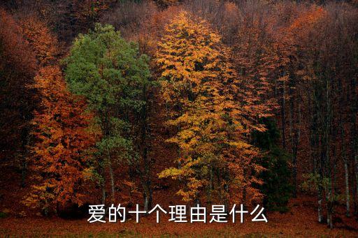 愛的原因，何為愛為何而愛