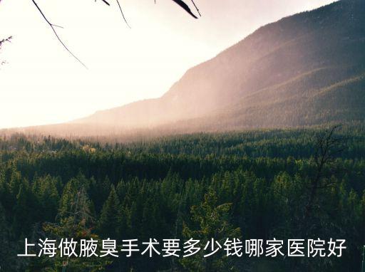 上海市六做狐臭嗎，三六 上海治療腋臭最好的醫(yī)院