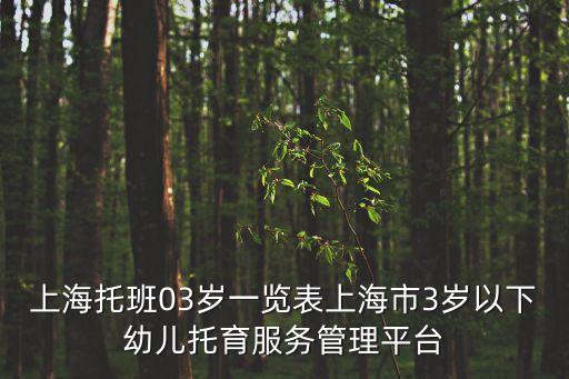 上海托班03歲一覽表上海市3歲以下幼兒托育服務(wù)管理平臺(tái)