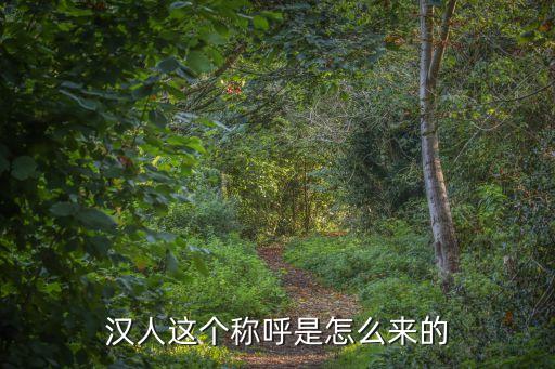 漢人這個稱呼是怎么來的
