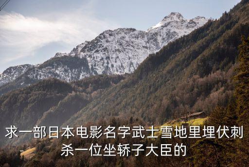 求一部日本電影名字武士雪地里埋伏刺殺一位坐轎子大臣的