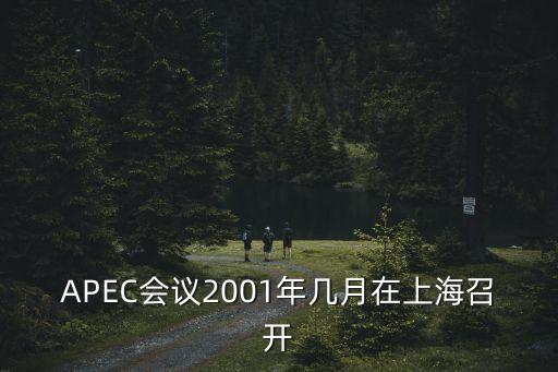APEC會(huì)議2001年幾月在上海召開(kāi)