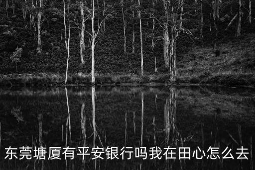 東莞塘廈有平安銀行嗎我在田心怎么去