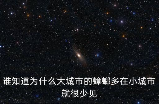 上海市蟑螂多嗎，誰知道為什么大城市的蟑螂多在小城市就很少見