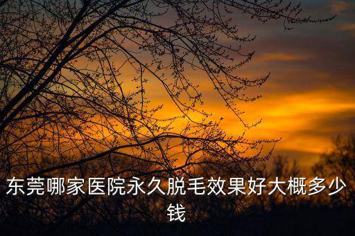 東莞哪家醫院永久脫毛效果好大概多少錢