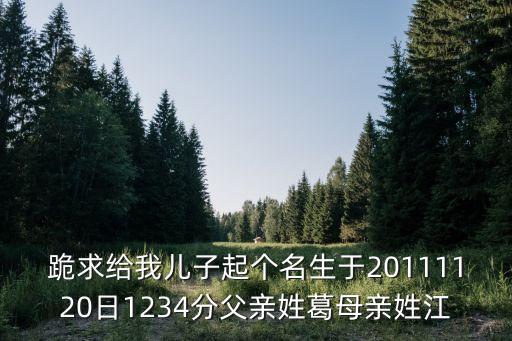 跪求給我兒子起個名生于20111120日1234分父親姓葛母親姓江
