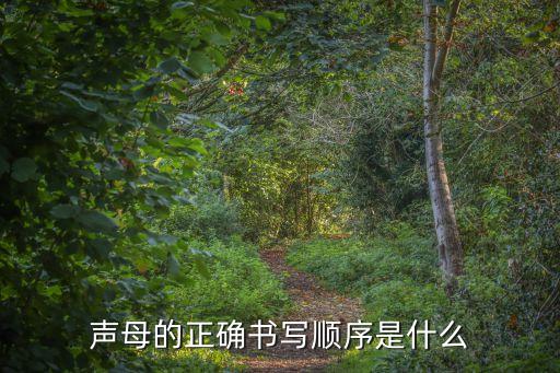 聲母的筆順，聲母的筆順分別怎么寫