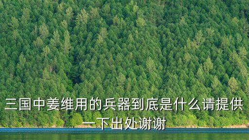 三國中姜維用的兵器到底是什么請提供一下出處謝謝