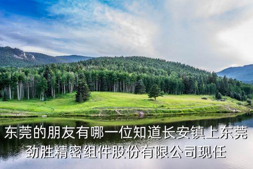 東莞張耀洪，東莞市藝霸雕塑實業有限公司的法人是誰
