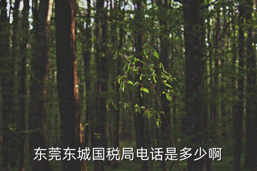 東莞石排地稅局電話號碼，地稅局電話