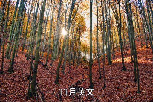 11月英文