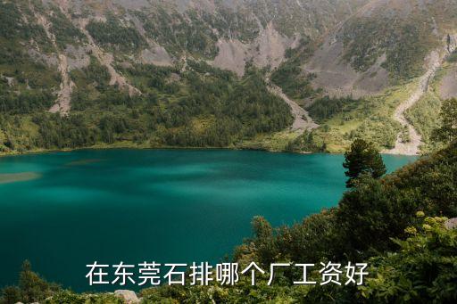 在東莞石排哪個廠工資好