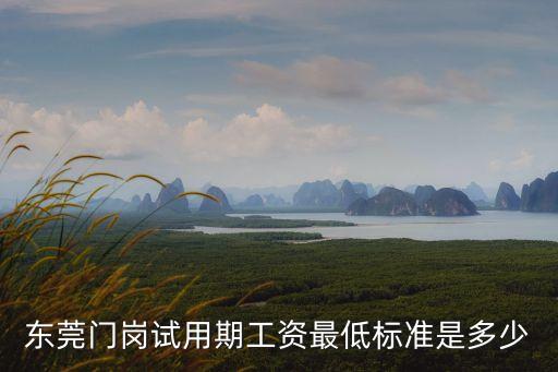 東莞門崗，東莞門崗試用期工資最低標(biāo)準(zhǔn)是多少