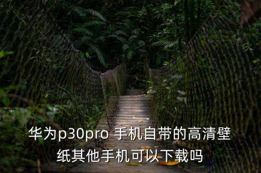 華為p30pro 手機自帶的高清壁紙其他手機可以下載嗎