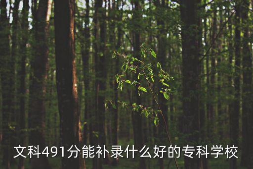 文科491分能補錄什么好的?？茖W校