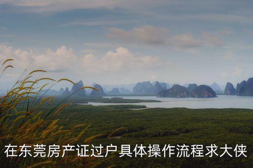 在東莞房產(chǎn)證過戶具體操作流程求大俠
