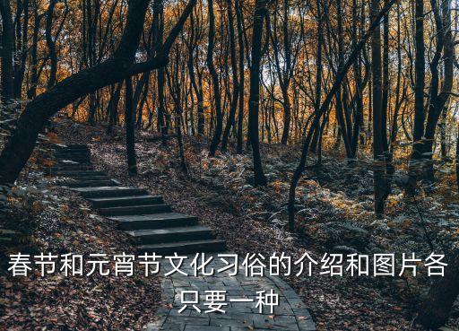 元宵節圖片，要幾張元宵節的手機圖片