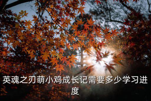 英魂之刃萌小雞成長記需要多少學(xué)習(xí)進(jìn)度