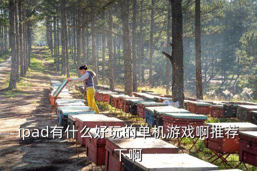 ipad有什么好玩的單機游戲啊推薦下啊