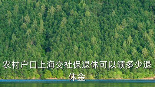 農村戶口上海交社保退休可以領多少退休金