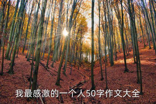 我最感激的一個(gè)人50字作文大全