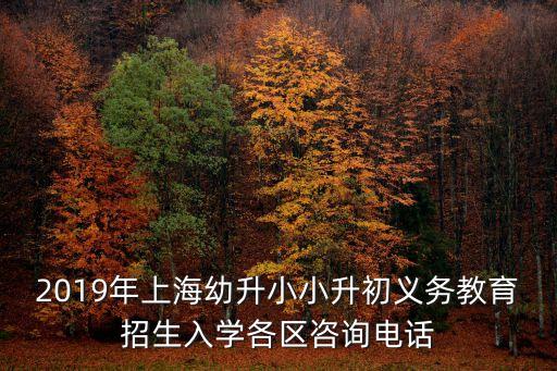2019年上海幼升小小升初義務教育招生入學各區咨詢電話