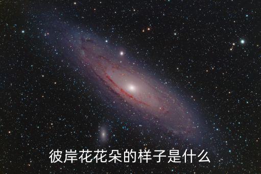 花朵圖片，各種花圖和名稱