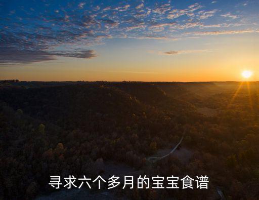 尋求六個多月的寶寶食譜
