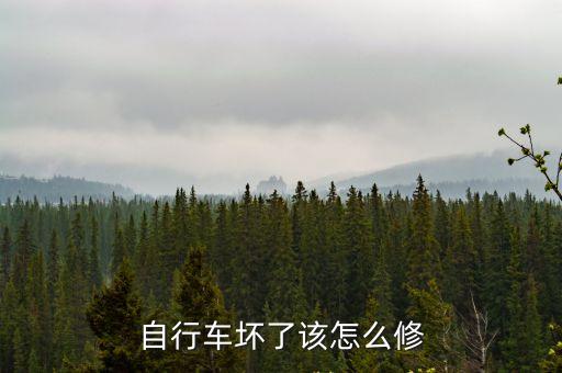 自行車壞了該怎么修