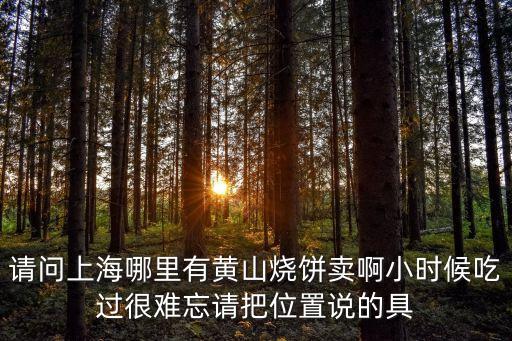 請(qǐng)問上海哪里有黃山燒餅賣啊小時(shí)候吃過很難忘請(qǐng)把位置說的具
